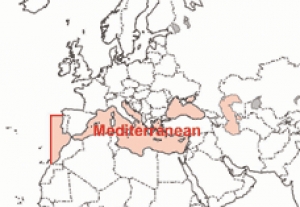 NauticPath Seekarten Europa Mittelmeer (Mittelmeer Schwarzes Mee