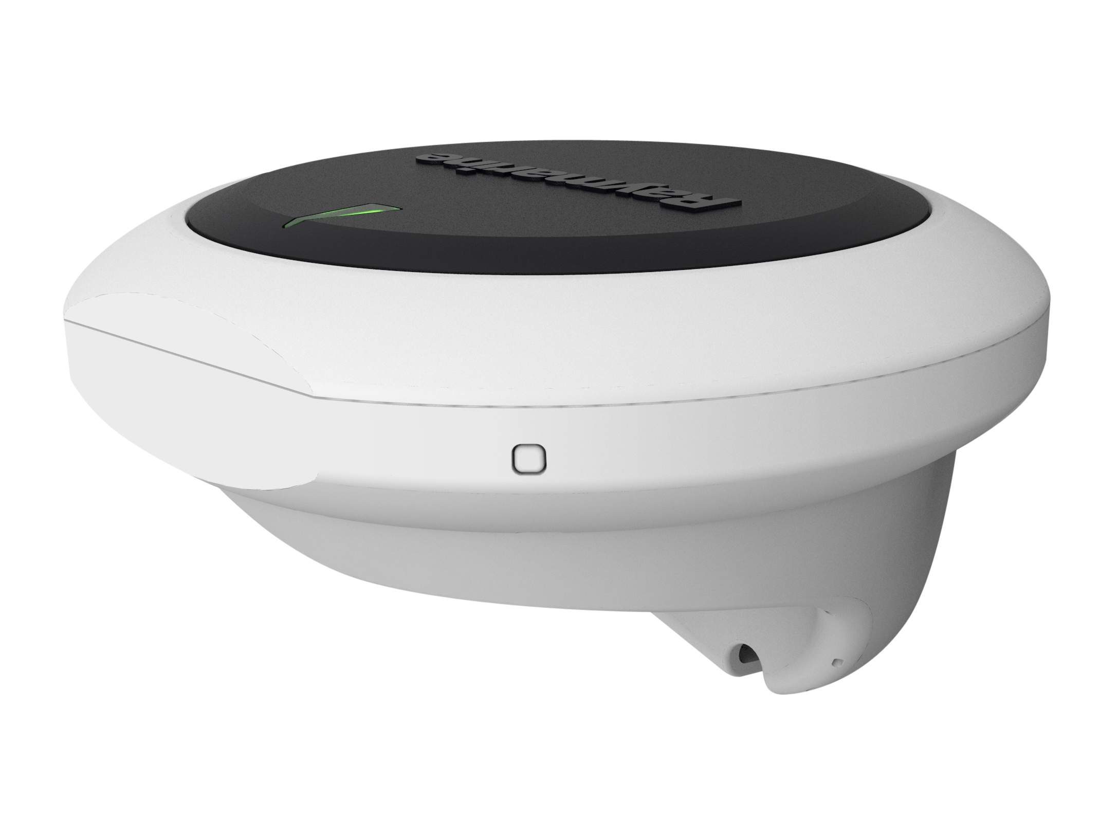 Raymarine EV-1 Computer