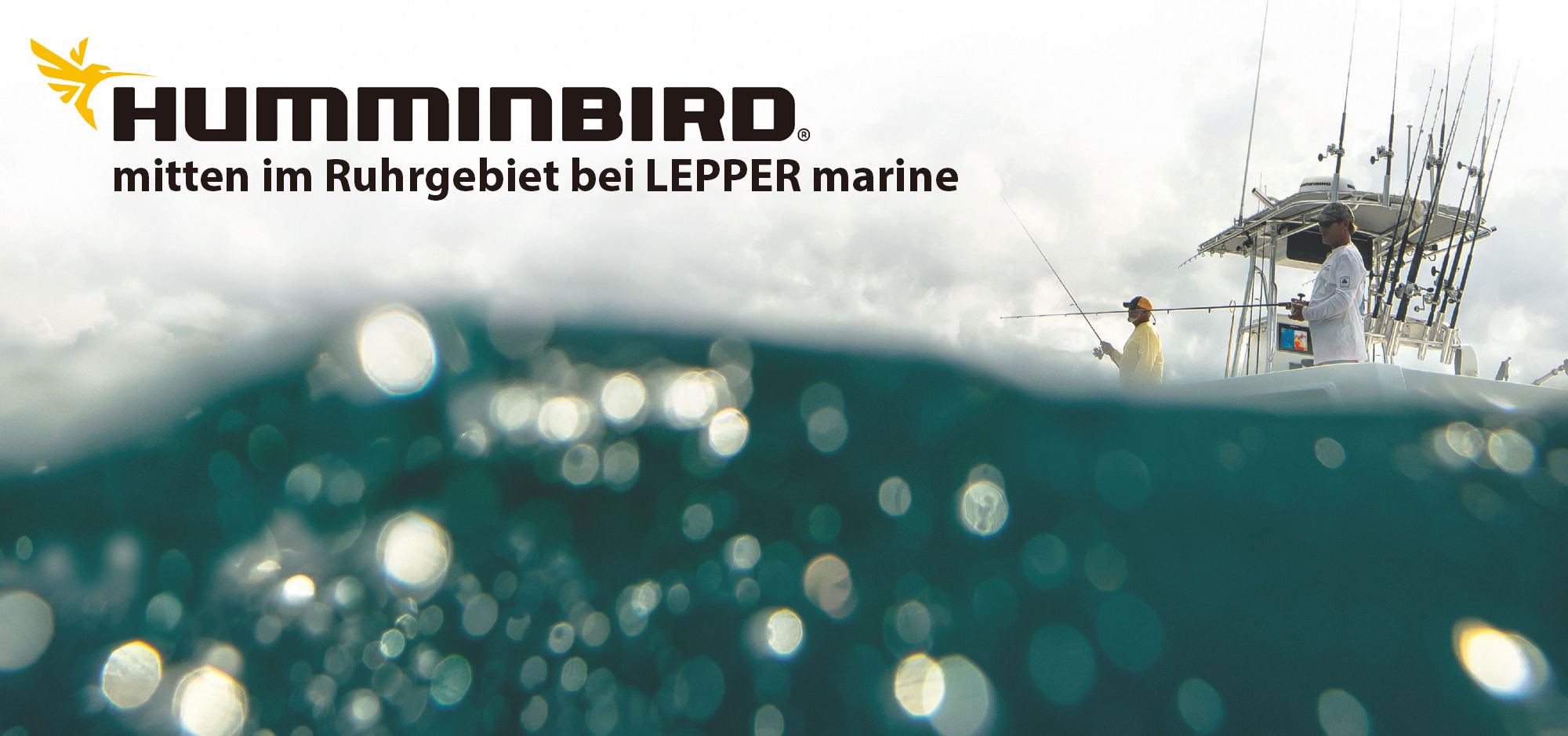 Humminbird