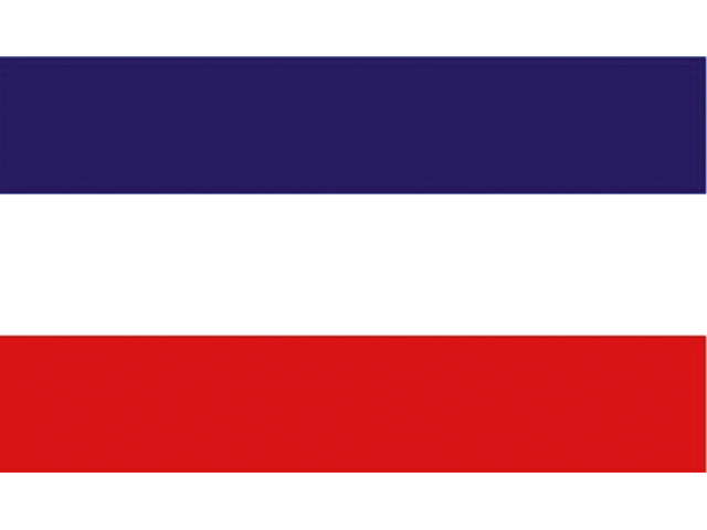 Talamex Flagge Schleswig-Holstein (verschiedene Größen)
