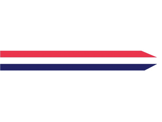 Talamex Langwimpel Niederlande (verschiedene Größen)